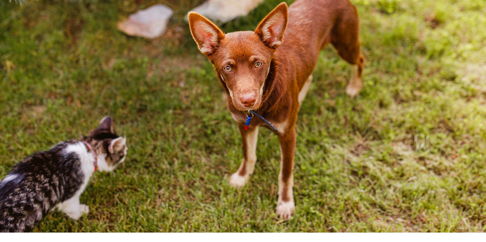 Hudson highlands banner Image