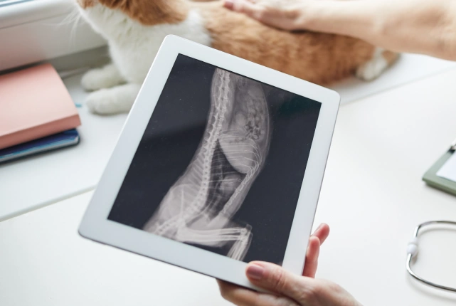 Diagnostic Capabilities